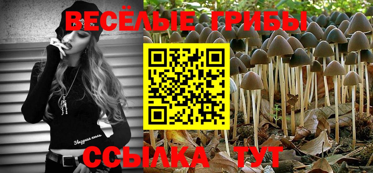 Волжский  Псилоцибиновые грибы Magic Shrooms  Галлюциногенные грибы Magic Shrooms  Вход с VPN 