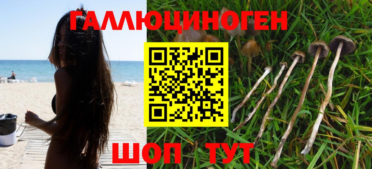 Галлюциногенные грибы мухоморы Волжский